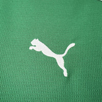 Camisa Oficial Palmeiras 26/27 - Versão Torcedor